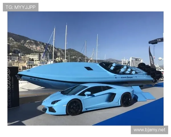 伊布家里那豪车比你小区车棚都多，真是活生生的行走富豪呀！