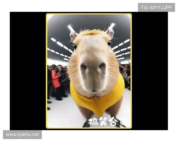 迪巴拉家的狗吃的都比我一个月工资还贵