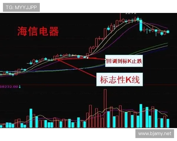 判罚教学：详解阻挡与防守站位的正确判定标准